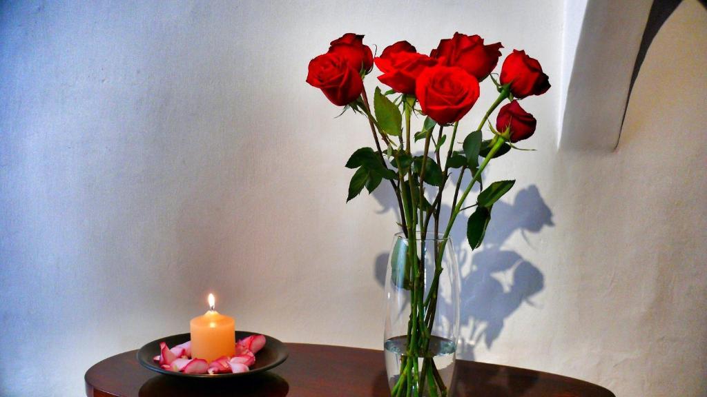 קואנקה Casa De Las Rosas מראה חיצוני תמונה